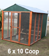 6x10 Chicken Coop